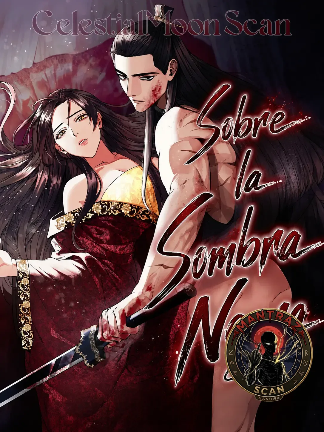 Sobre la Sombra Negra